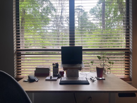 Lissette Decos office space. Laptop on stand with plants on desk and with view looking outside